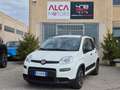 Fiat Panda 1.0 firefly hybrid City Life - PREZZO REALE Bianco - thumbnail 1