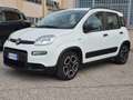 Fiat Panda 1.0 firefly hybrid City Life - PREZZO REALE Bianco - thumbnail 2