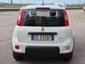 Fiat Panda 1.0 firefly hybrid City Life - PREZZO REALE Bianco - thumbnail 4