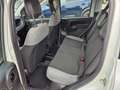 Fiat Panda 1.0 firefly hybrid City Life - PREZZO REALE Bianco - thumbnail 9