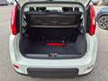 Fiat Panda 1.0 firefly hybrid City Life - PREZZO REALE Bianco - thumbnail 7