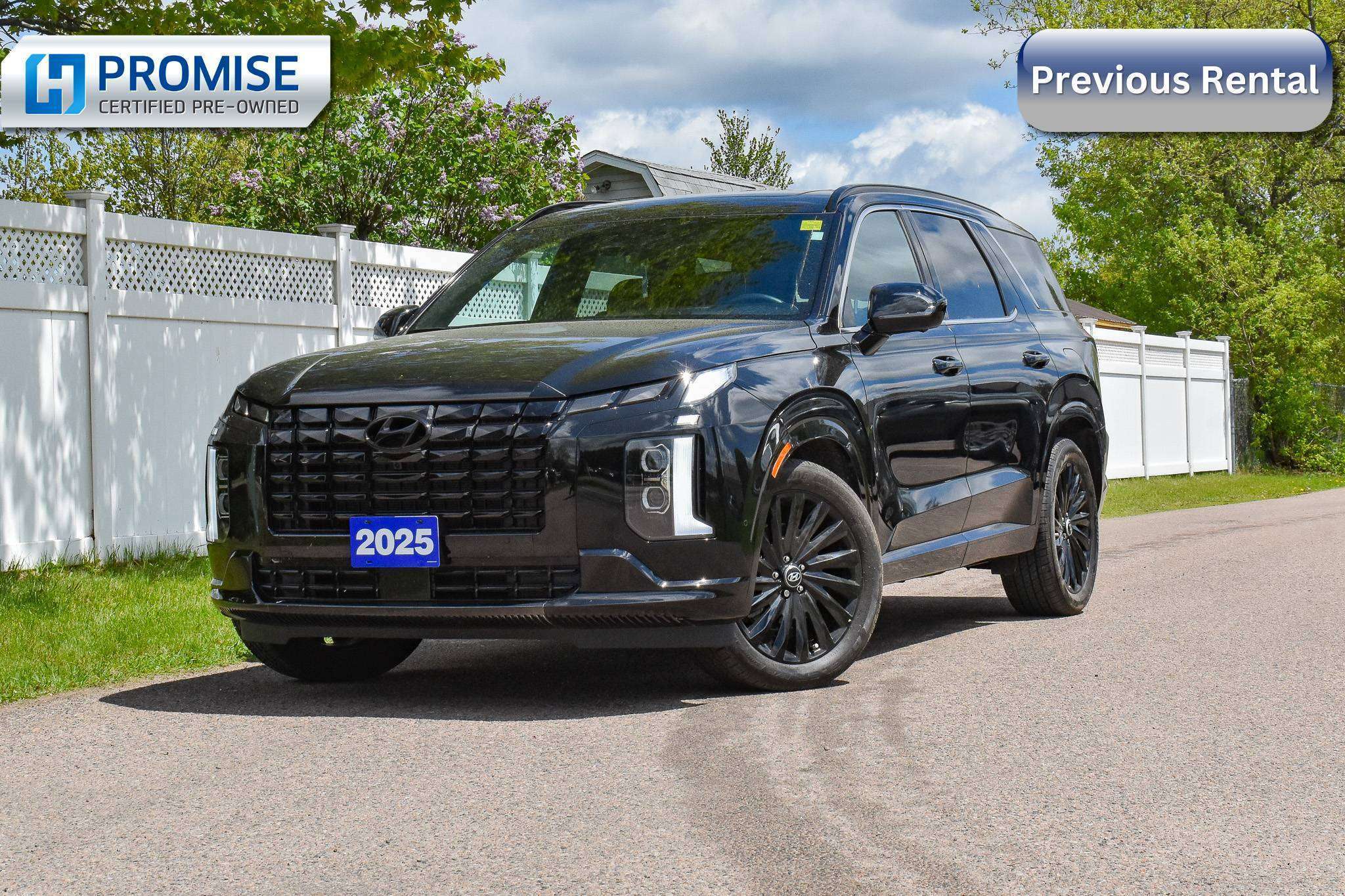  2025 Hyundai Palisade Ultimate Calligraphy Night AWD   