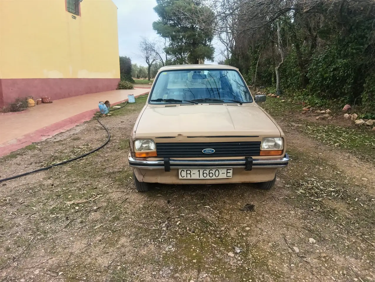 Ford Fiesta, foto 2