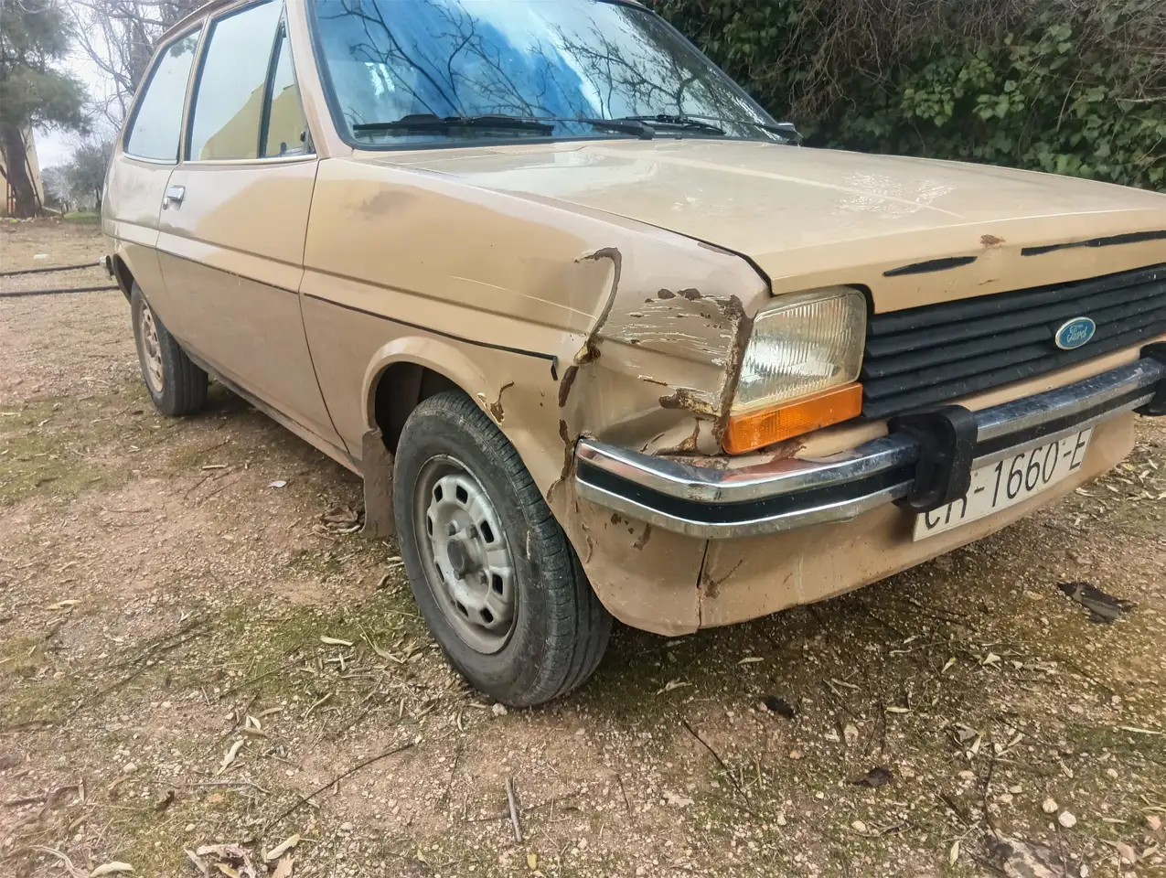 Ford Fiesta, foto 3