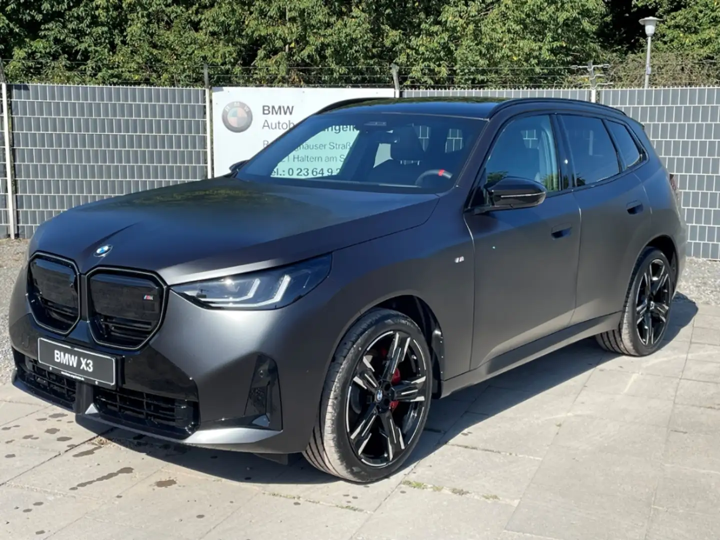 BMW X3 M50 xDrive Mattlack Driv.Prof. AHK el. GSD! Grau - 1