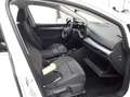 Volkswagen Golf VIII 1.5 eTSI DSG Style Navi R-Kam PDC SHZ Weiß - thumbnail 7