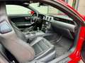 Ford Mustang USA 5.0 V8 Performance, 8.346km!!! MOTORPROBLEEM!! Rouge - thumbnail 14