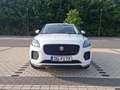 Jaguar E-Pace R-Dynamic AWD Weiß - thumbnail 5