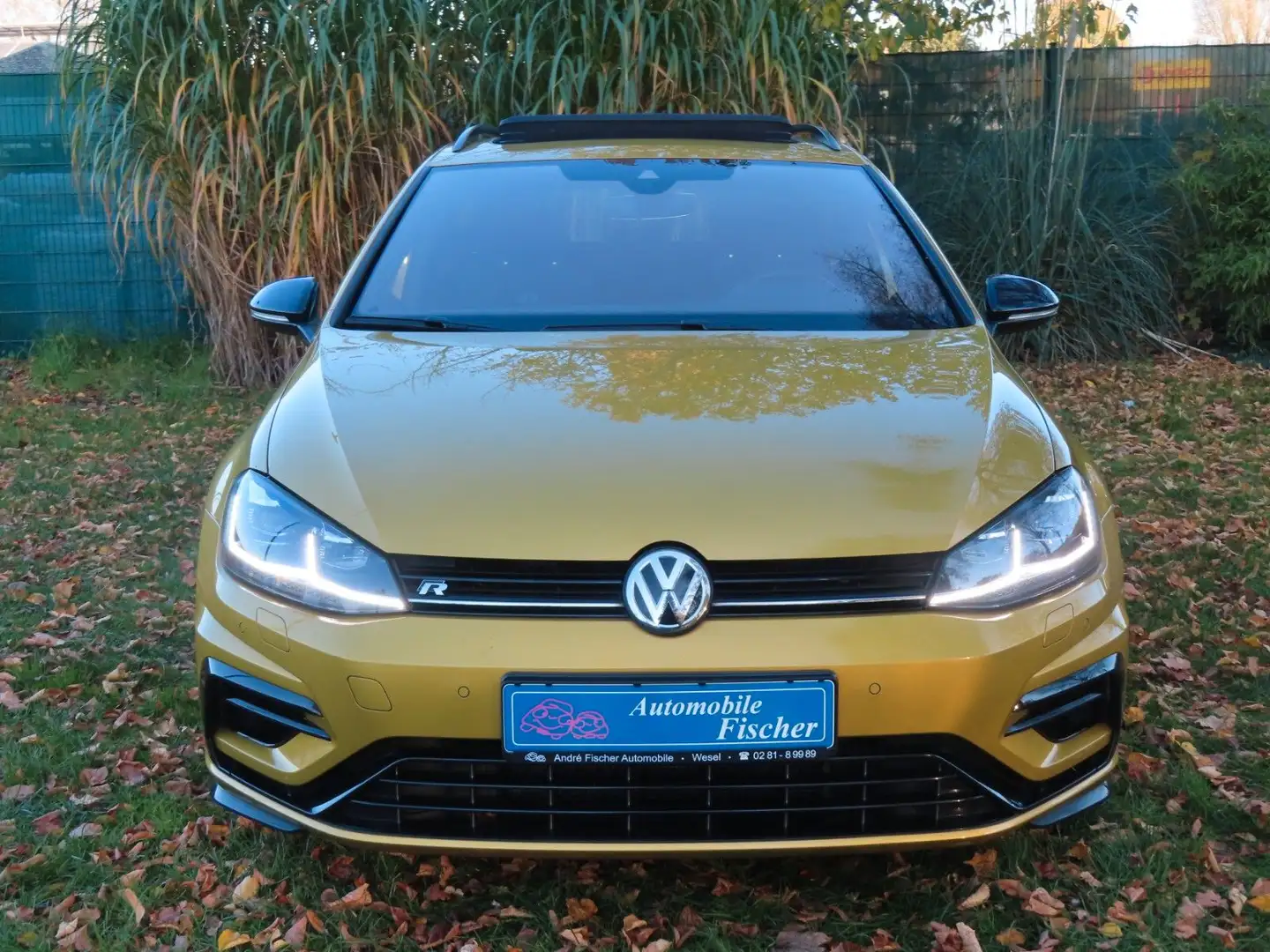 Volkswagen Golf VII Variant R 4Motion 1.Hand-DSG-Navi-Gelb Gelb - 2