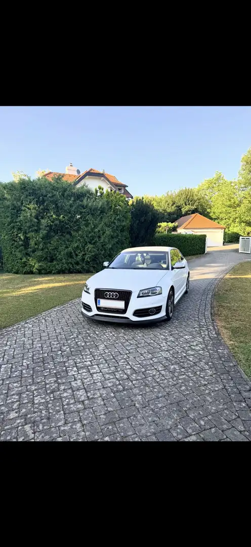 Audi S3 8p Facelift Weiß - 1