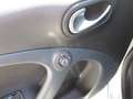 smart forFour Forfour eq Passion Blu/Azzurro - thumbnail 12