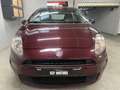 Fiat Punto 1.2i STREET 🏳️ GARANTIE 12 MOIS 🏳️ Mauve - thumbnail 13