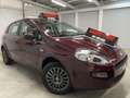 Fiat Punto 1.2i STREET 🏳️ GARANTIE 12 MOIS 🏳️ Mauve - thumbnail 2