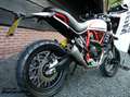 Ducati Scrambler Desert Sled ABS Rood - thumbnail 5