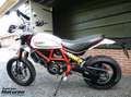 Ducati Scrambler Desert Sled ABS Rood - thumbnail 9