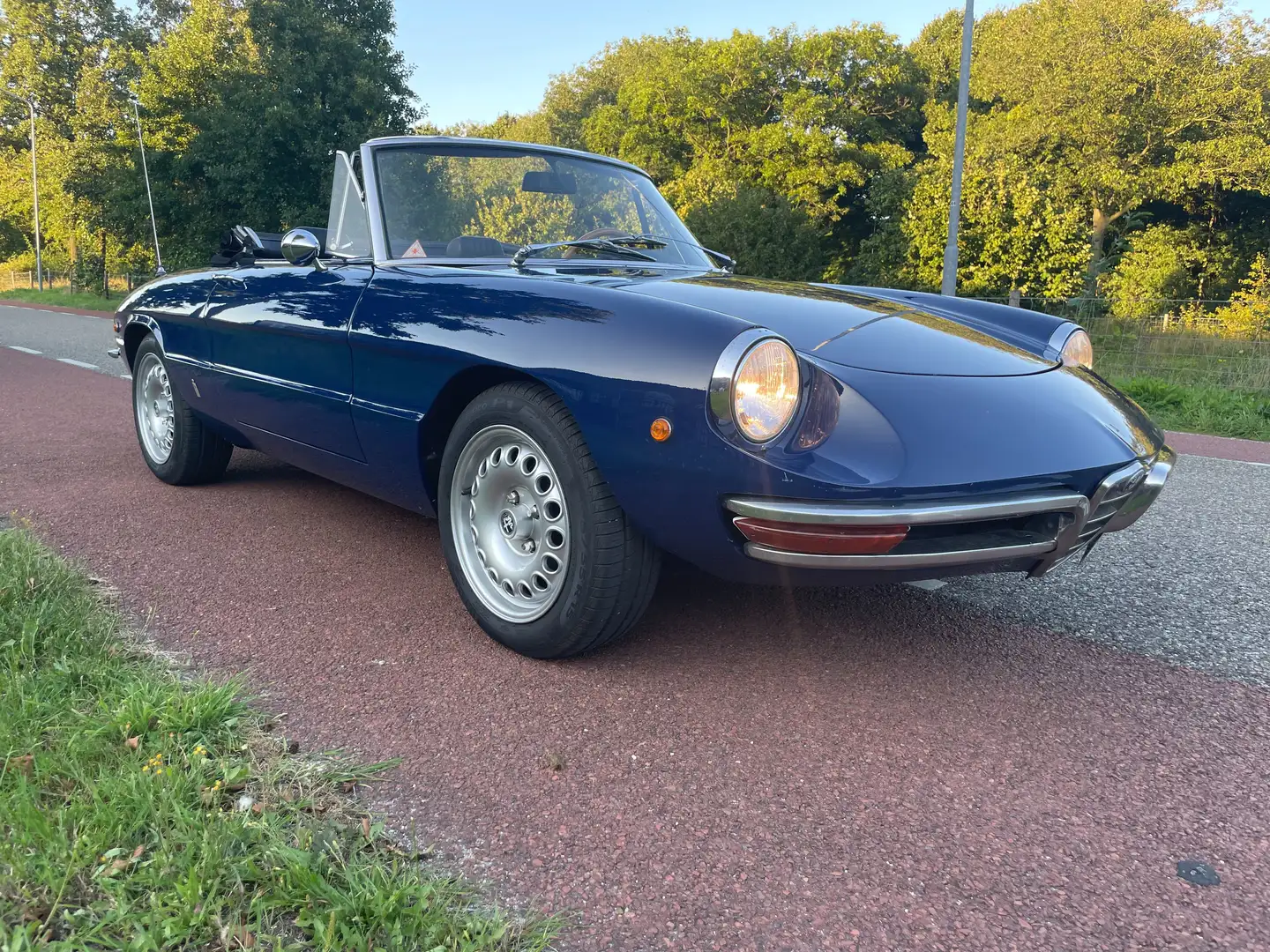 Alfa Romeo Spider 1750 Veloce (Duetto) Blau - 2