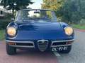 Alfa Romeo Spider 1750 Veloce (Duetto) Bleu - thumbnail 3