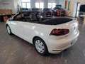 Volkswagen Golf Cabriolet Golf Cabrio 2.0 TDI BlueMotion Technology - thumbnail 10