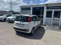 Fiat Panda 1.2  Easy Bianco - thumbnail 4