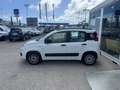 Fiat Panda 1.2  Easy Bianco - thumbnail 7