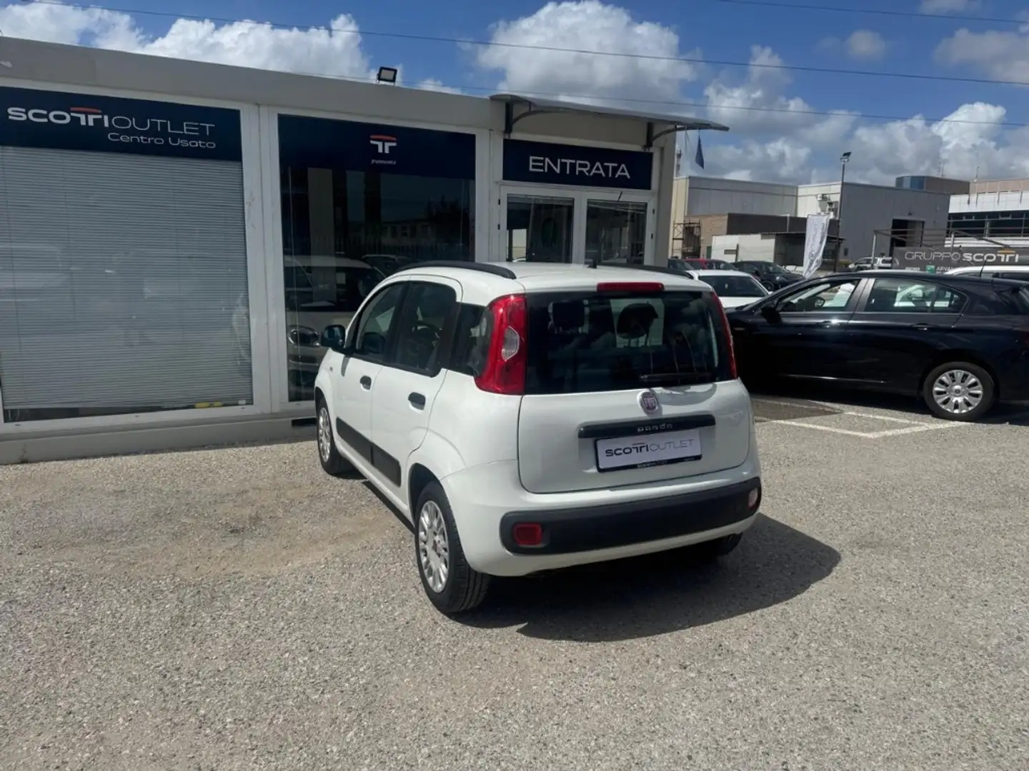 Fiat Panda 1.2  Easy Bianco - 2