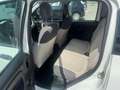 Fiat Panda 1.2  Easy Bianco - thumbnail 10