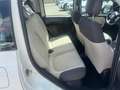 Fiat Panda 1.2  Easy Bianco - thumbnail 12