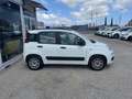 Fiat Panda 1.2  Easy Bianco - thumbnail 8