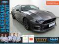 Ford Mustang 5.0 Mach 1 Aut LED+MagneRide+SitzKlima Grau - thumbnail 1