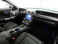 Ford Mustang 5.0 Mach 1 Aut LED+MagneRide+SitzKlima Grau - thumbnail 14