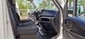 Iveco Daily 35C18 PASSO 3450 - 3.0 MJT 180CV HI MATIC Blanc - thumbnail 16