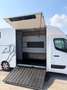 Renault Master Master 3 2.3DCI Pferdetransporter Weiß - thumbnail 8
