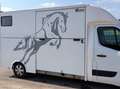 Renault Master Master 3 2.3DCI Pferdetransporter Weiß - thumbnail 3
