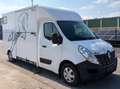 Renault Master Master 3 2.3DCI Pferdetransporter Weiß - thumbnail 2