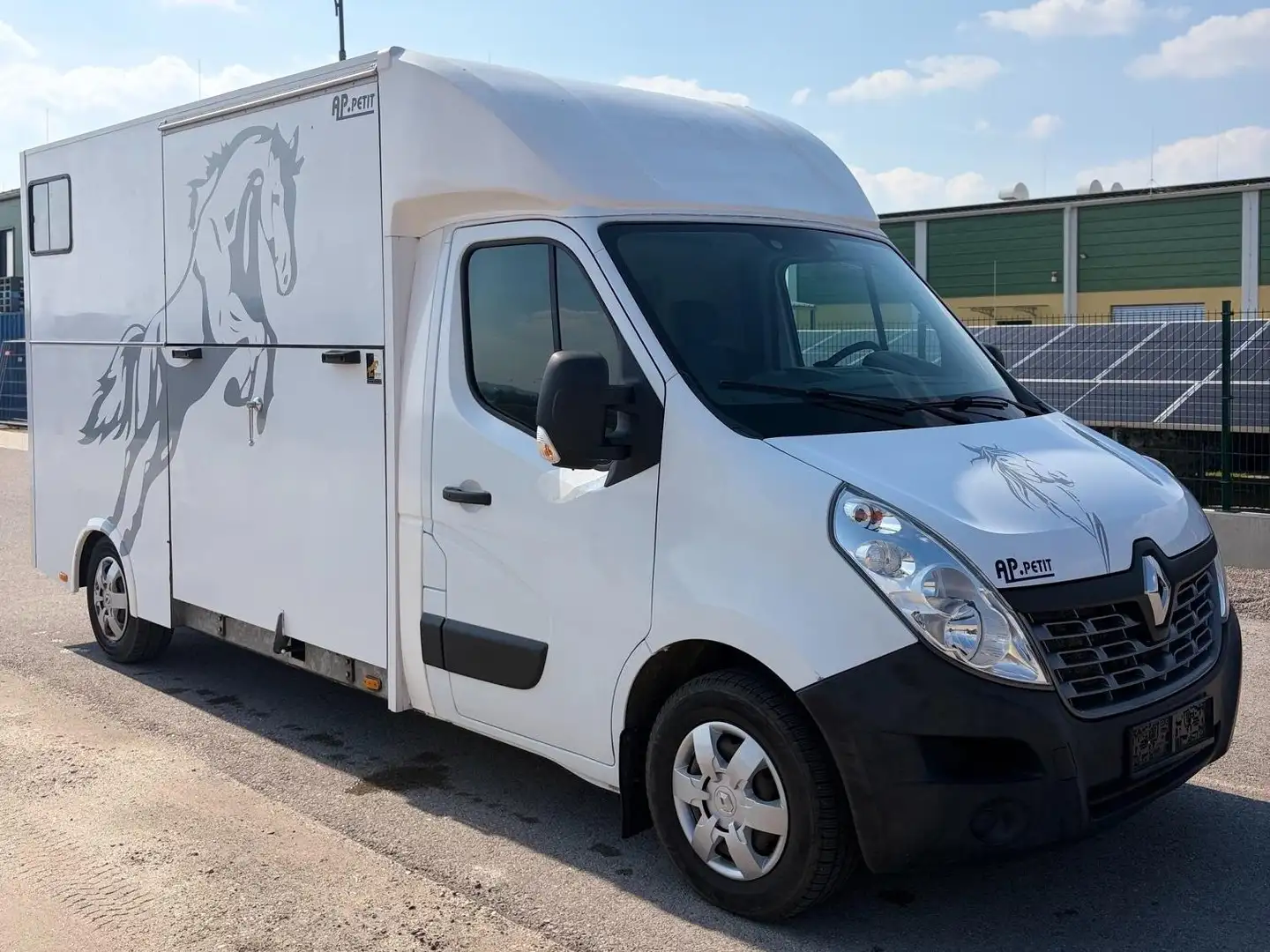 Renault Master Master 3 2.3DCI Pferdetransporter Weiß - 2