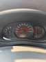 Renault Master Master 3 2.3DCI Pferdetransporter Weiß - thumbnail 14