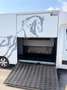 Renault Master Master 3 2.3DCI Pferdetransporter Weiß - thumbnail 7