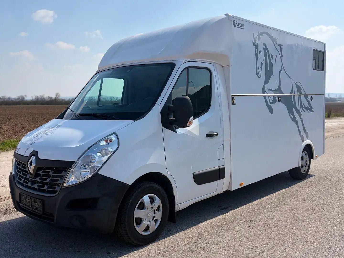Renault Master Master 3 2.3DCI Pferdetransporter Weiß - 1