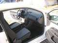 Skoda Citigo Active 1.0 - Klima - Tüv 4/2027 Weiß - thumbnail 8