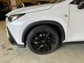 Lexus NX 450h+ NX 450h Plug-in 4WD F-Sport Weiß - thumbnail 8