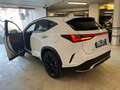 Lexus NX 450h+ NX 450h Plug-in 4WD F-Sport Weiß - thumbnail 7