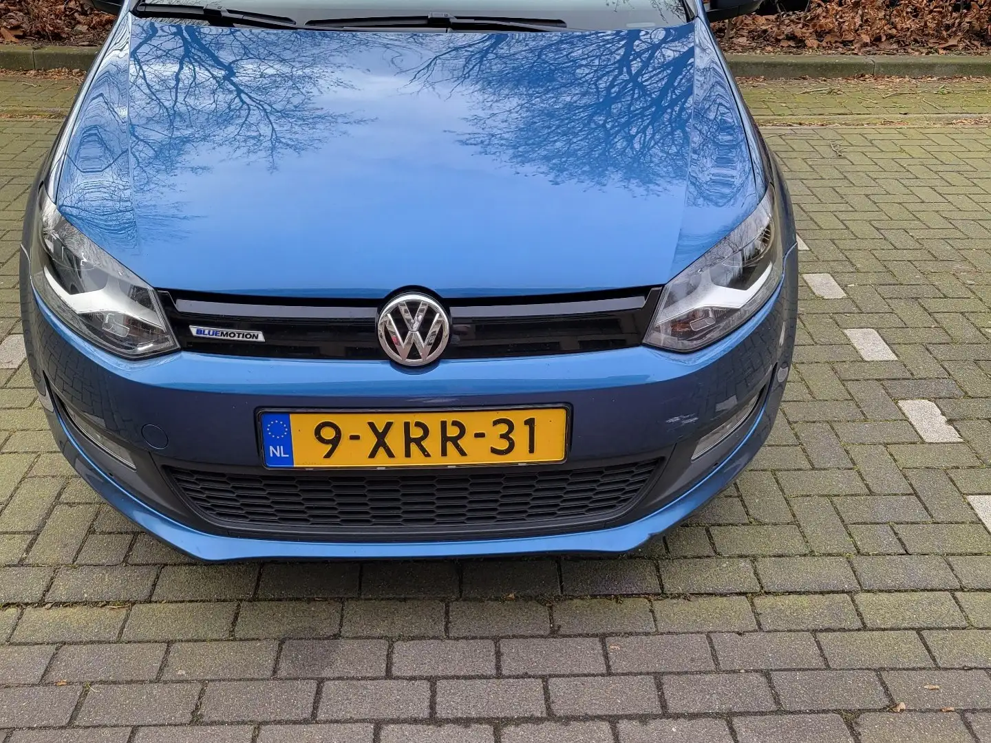 Volkswagen Polo 1.4 TDI BlueMotion Blauw - 1