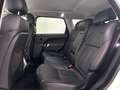 Land Rover Range Rover Sport 3.0 TDV6 HSE Dynamic Bianco - thumbnail 13