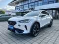 CUPRA Formentor (D1) 1.5 TSI 150 PS DSG 19" Full LED, NAVI, XL,... Blanc - thumbnail 3