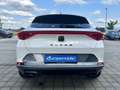 CUPRA Formentor (D1) 1.5 TSI 150 PS DSG 19" Full LED, NAVI, XL,... Blanc - thumbnail 6