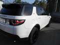 Land Rover Discovery Sport Discovery Sport 2.0 ed4 Pure 2wd 150cv Bianco - thumbnail 5