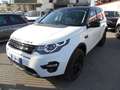 Land Rover Discovery Sport Discovery Sport 2.0 ed4 Pure 2wd 150cv Bianco - thumbnail 2