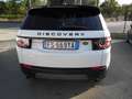 Land Rover Discovery Sport Discovery Sport 2.0 ed4 Pure 2wd 150cv Bianco - thumbnail 4