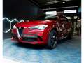 Alfa Romeo Stelvio Quadrifoglio Quadrifoglio 510CV Full options Rot - thumbnail 1