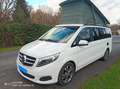 Mercedes-Benz Marco Polo 2.2CDI 190CV - thumbnail 14